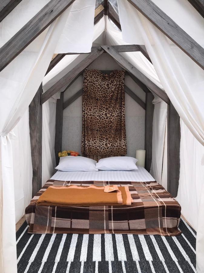Terre Terrace Glamping - Doichang Ban Huai Khai Dış mekan fotoğraf